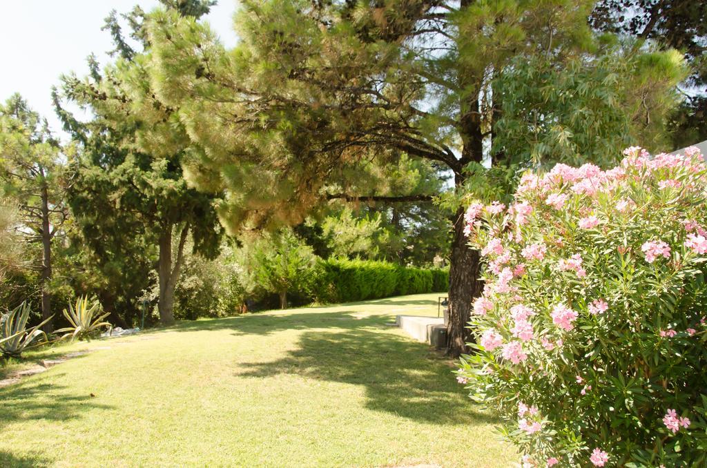Angelbay Bungalows أغيا ترياس المظهر الخارجي الصورة